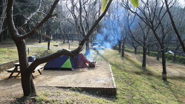 桜の森キャンプサイトでソロキャンプ