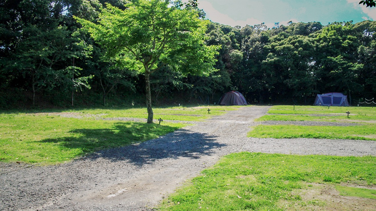 木陰に避難するテントたち