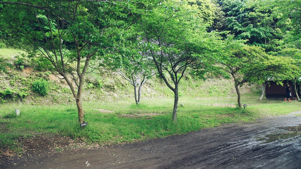 車道には一部水たまりができているところもある