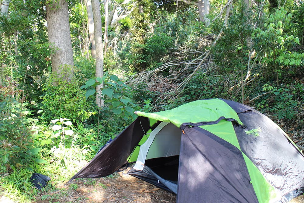 テントの裏は山の景色が広がっている