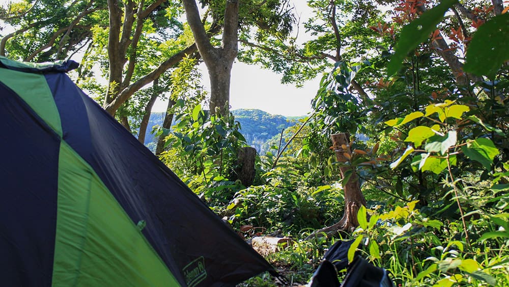 キャンプ区画内から見える景色は大きな木と自然の風景