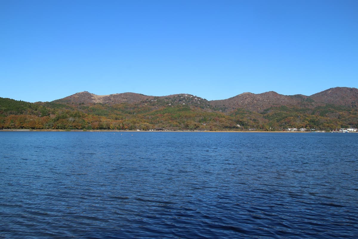 山中湖周辺の大和森はうっすらと紅葉し始めている