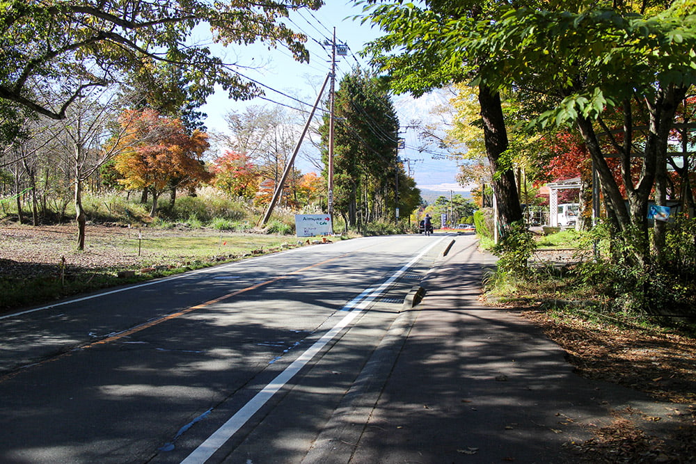 紅葉し始めた木々とまっすぐ続く道路